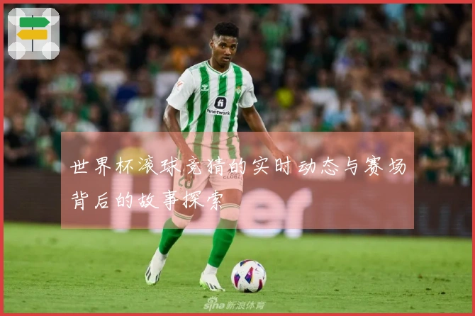世界杯滚球竞猜的实时动态与赛场背后的故事探索