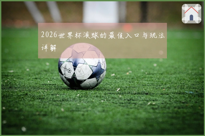2026世界杯滚球的最佳入口与玩法详解