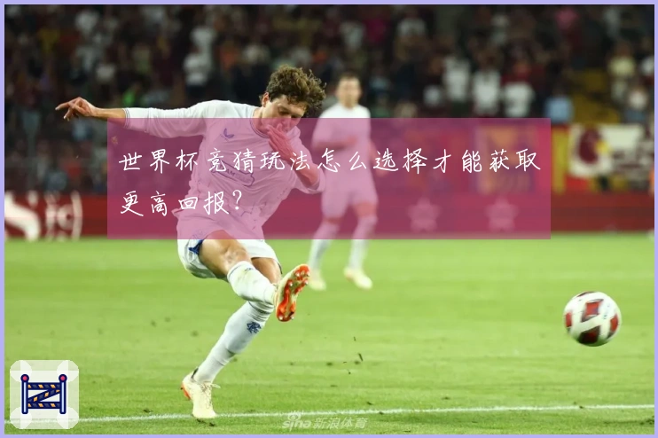 世界杯竞猜玩法怎么选择才能获取更高回报？