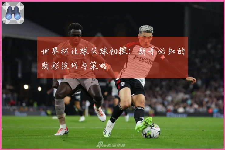 世界杯让球买球初探：新手必知的购彩技巧与策略