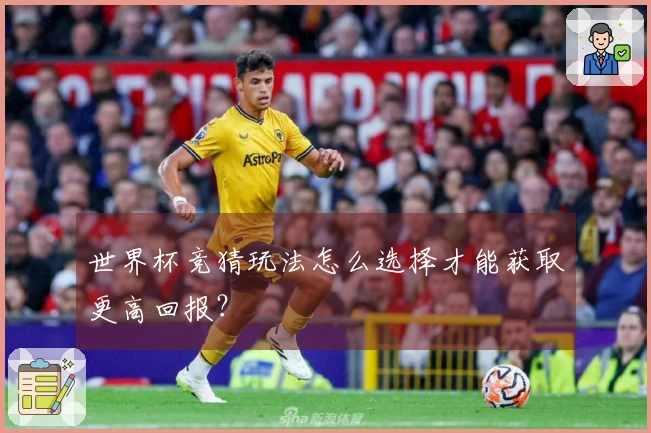 世界杯竞猜玩法怎么选择才能获取更高回报？