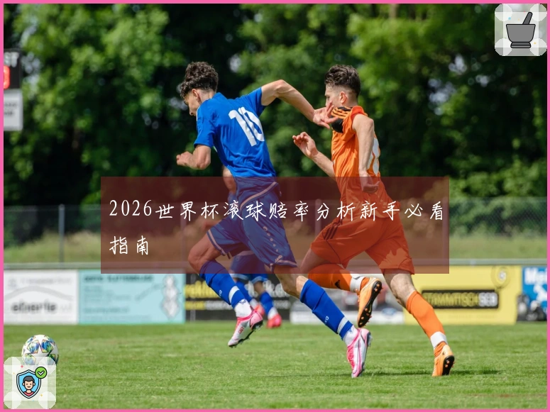 2026世界杯滚球赔率分析新手必看指南