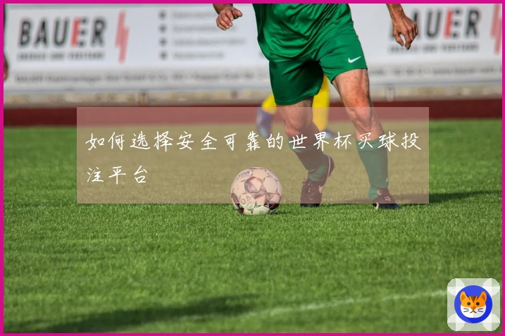 如何选择安全可靠的世界杯买球投注平台
